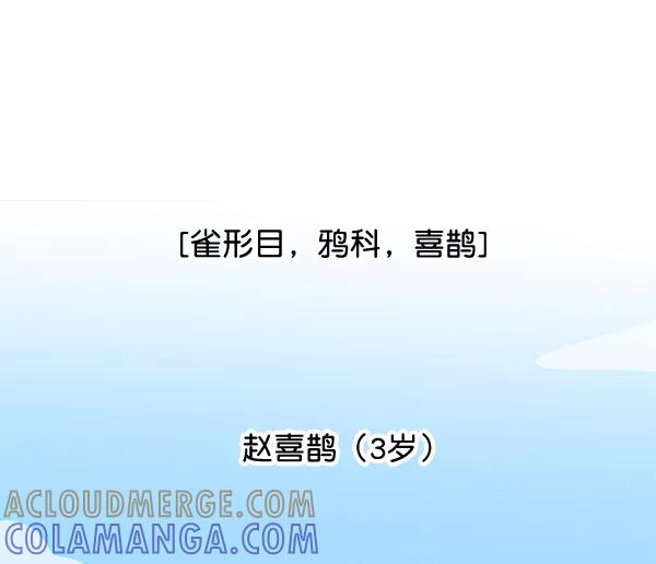 《小麻雀求婚记》第8话 第10页