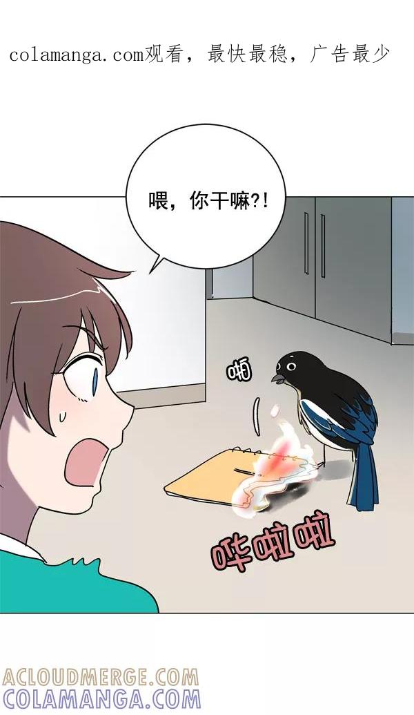 《小麻雀求婚记》第8话 第1页