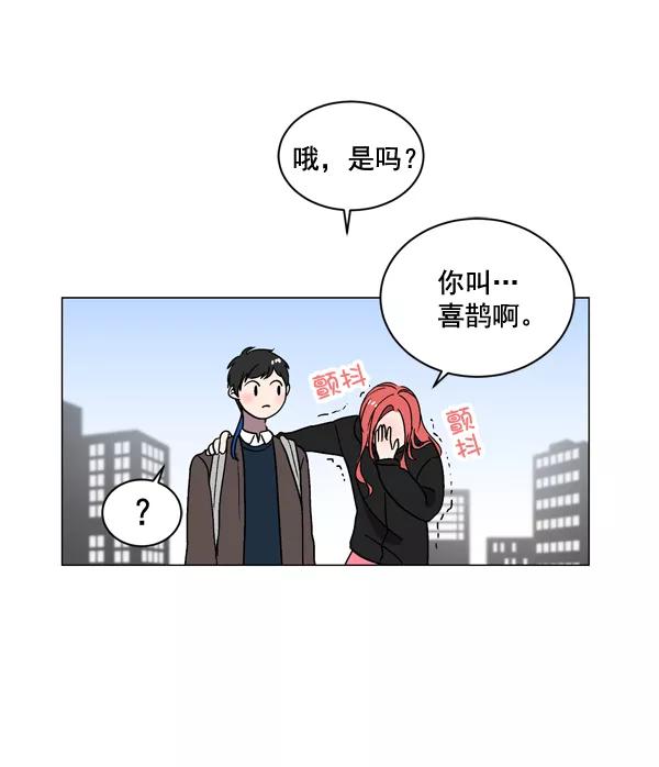 《小麻雀求婚记》第8话 第32页