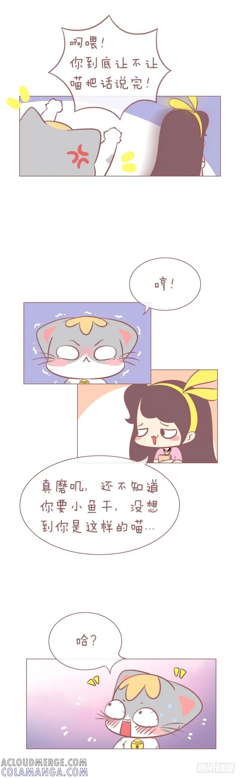 木木子漫画 客官，来点萌吗？ 第5页