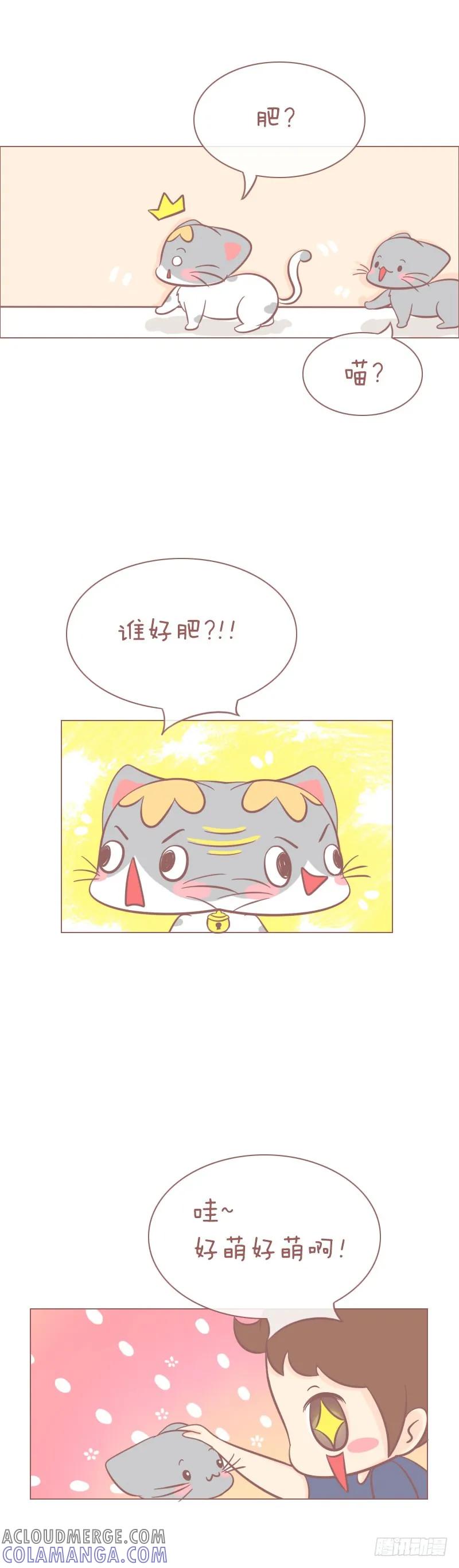 木木子漫画 肥和萌的写照 第4页