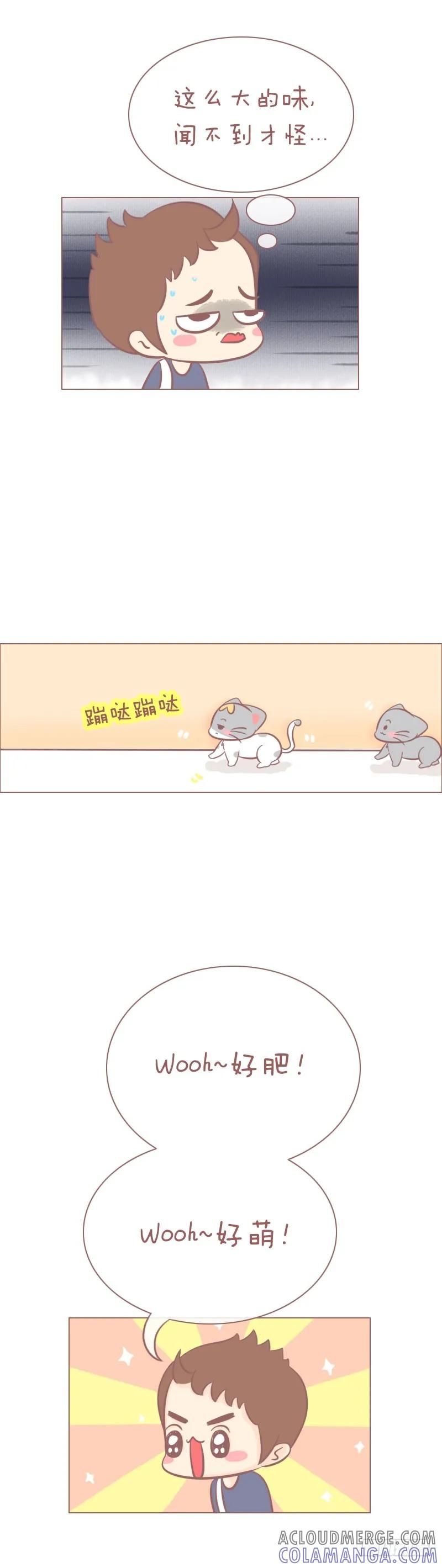 木木子漫画 肥和萌的写照 第3页