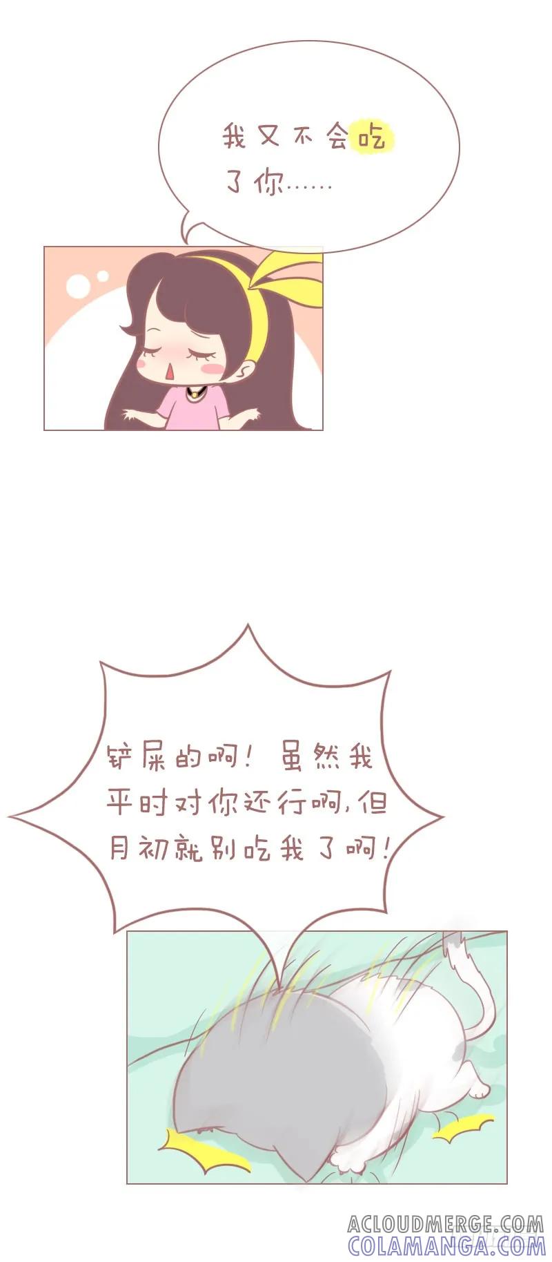木木子漫画 月光族的新定义？ 第5页