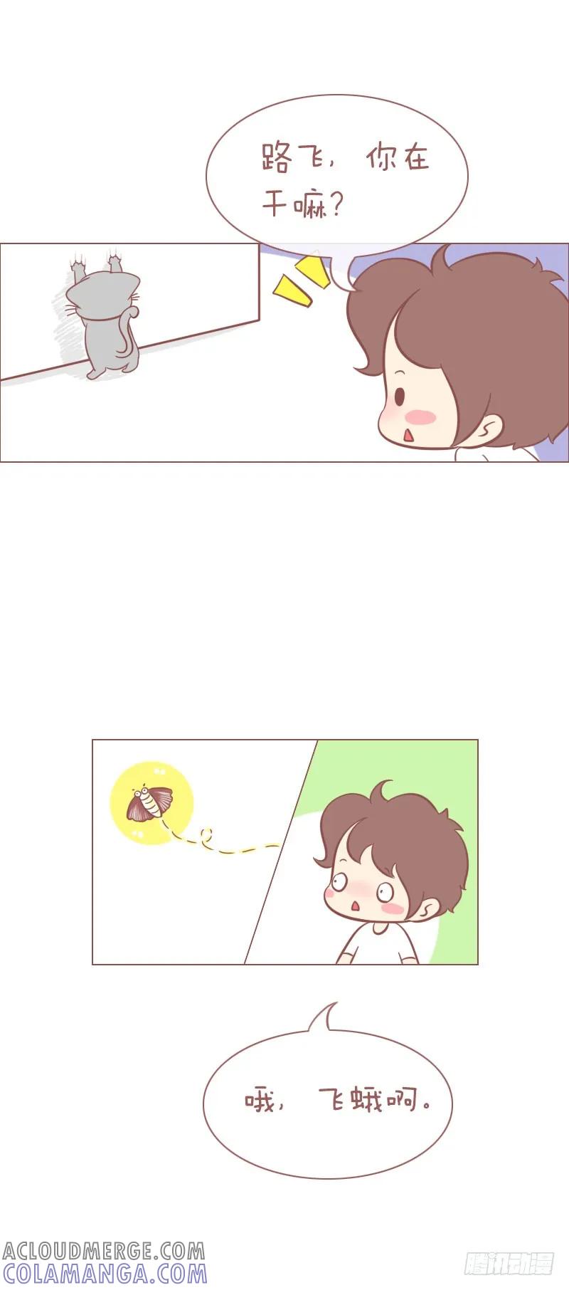 木木子漫画 我家养了只青蛙 第2页