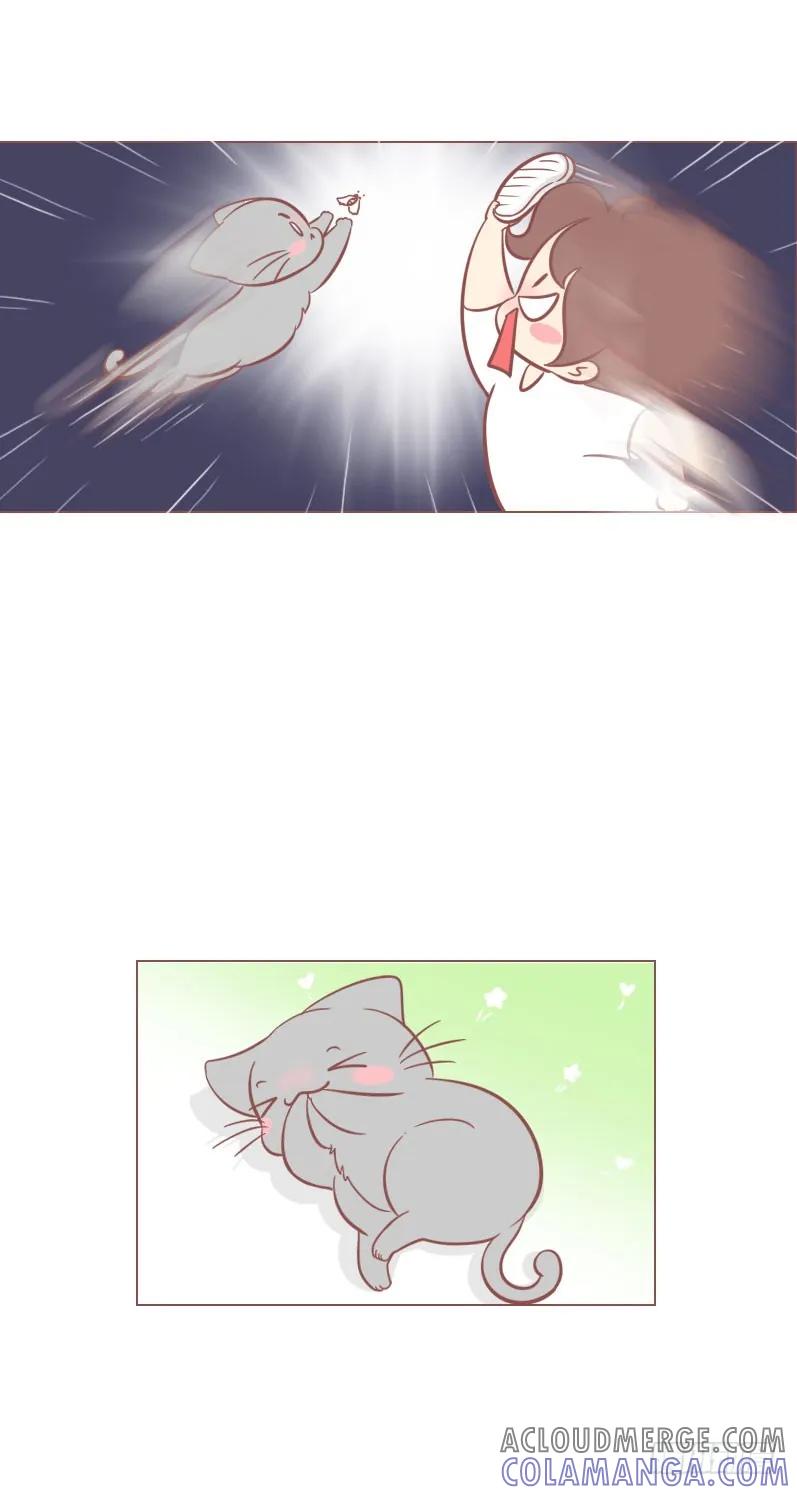 木木子漫画 我家养了只青蛙 第4页