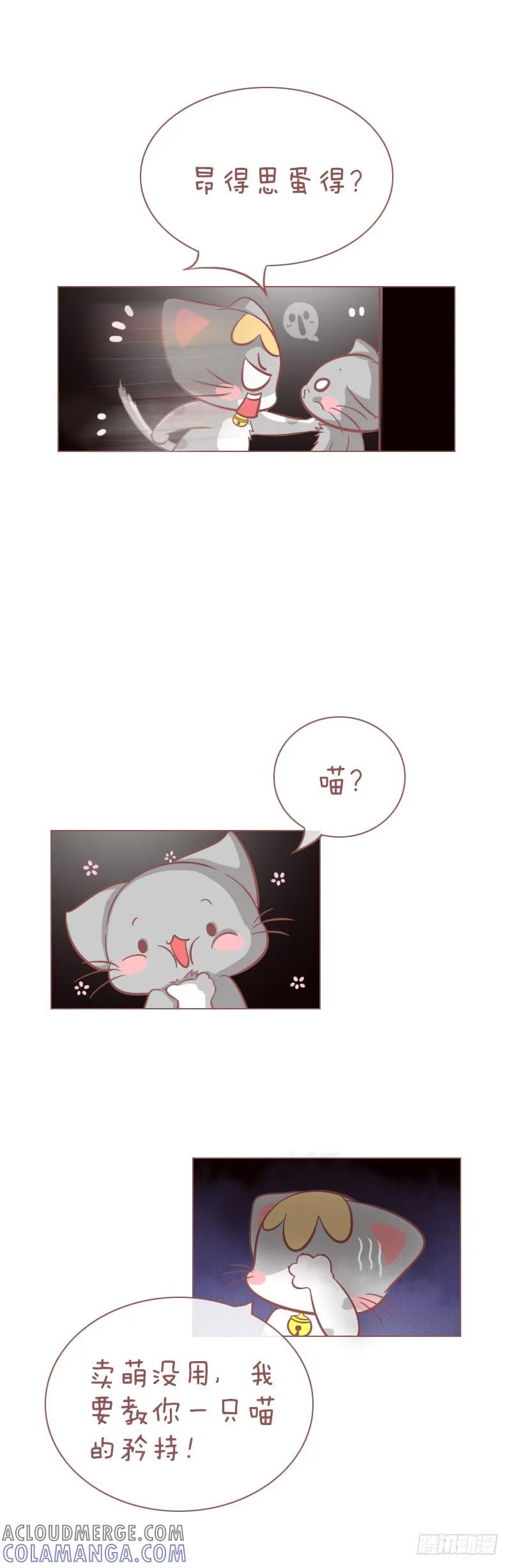 木木子漫画 做猫，就要有做猫的样子！ 第4页