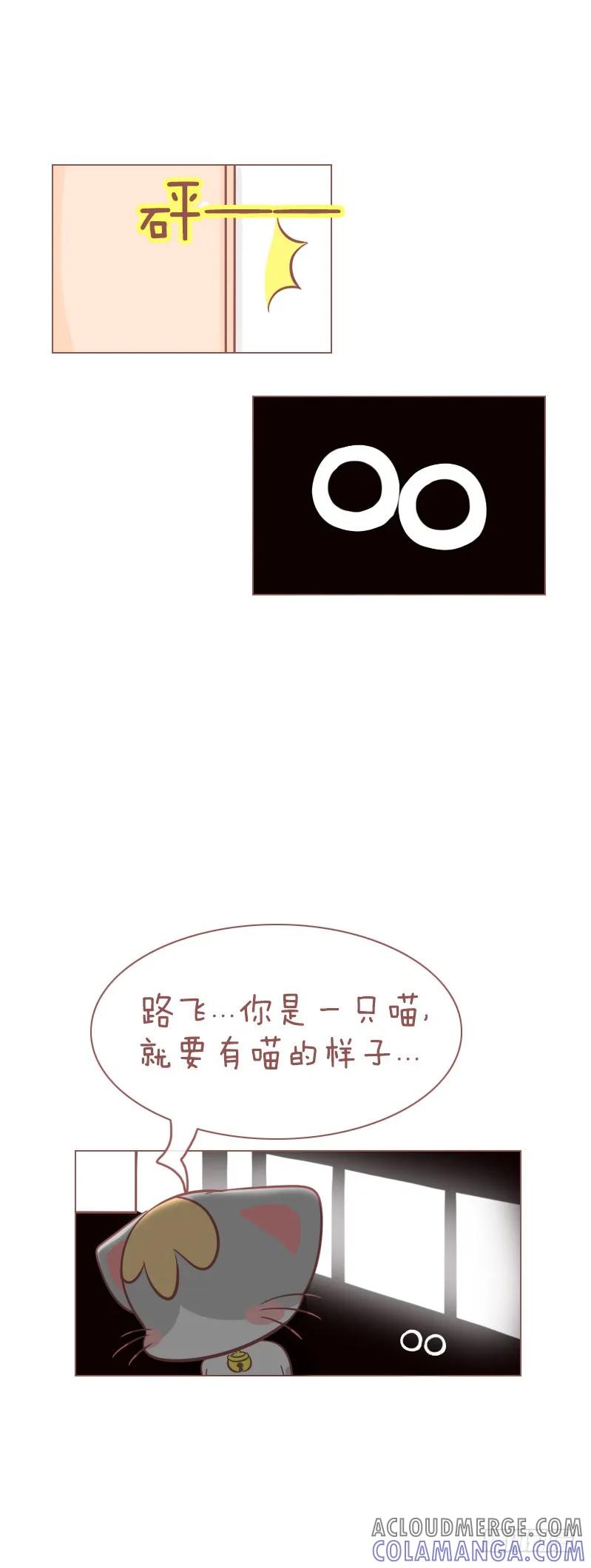 木木子漫画 做猫，就要有做猫的样子！ 第3页