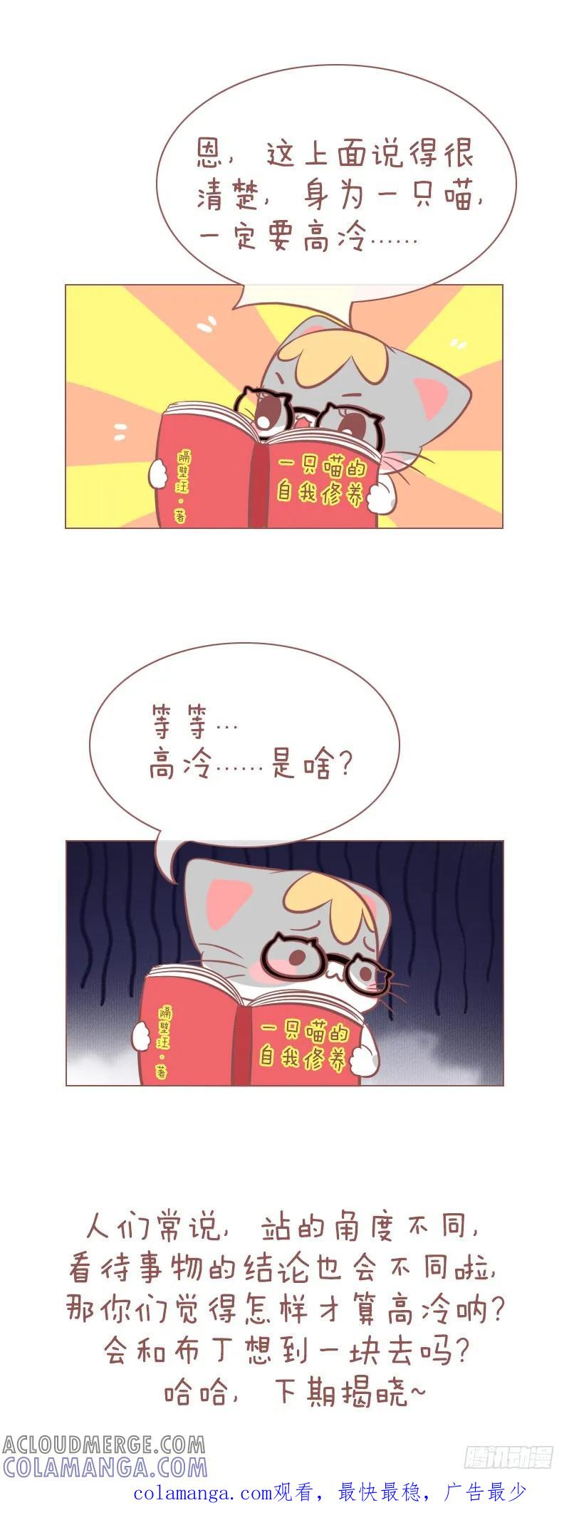 木木子漫画 做猫，就要有做猫的样子！ 第5页