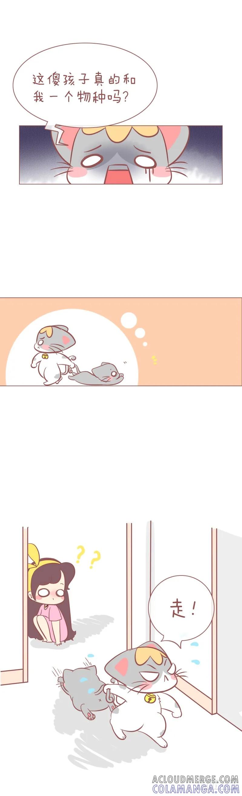 木木子漫画 做猫，就要有做猫的样子！ 第2页