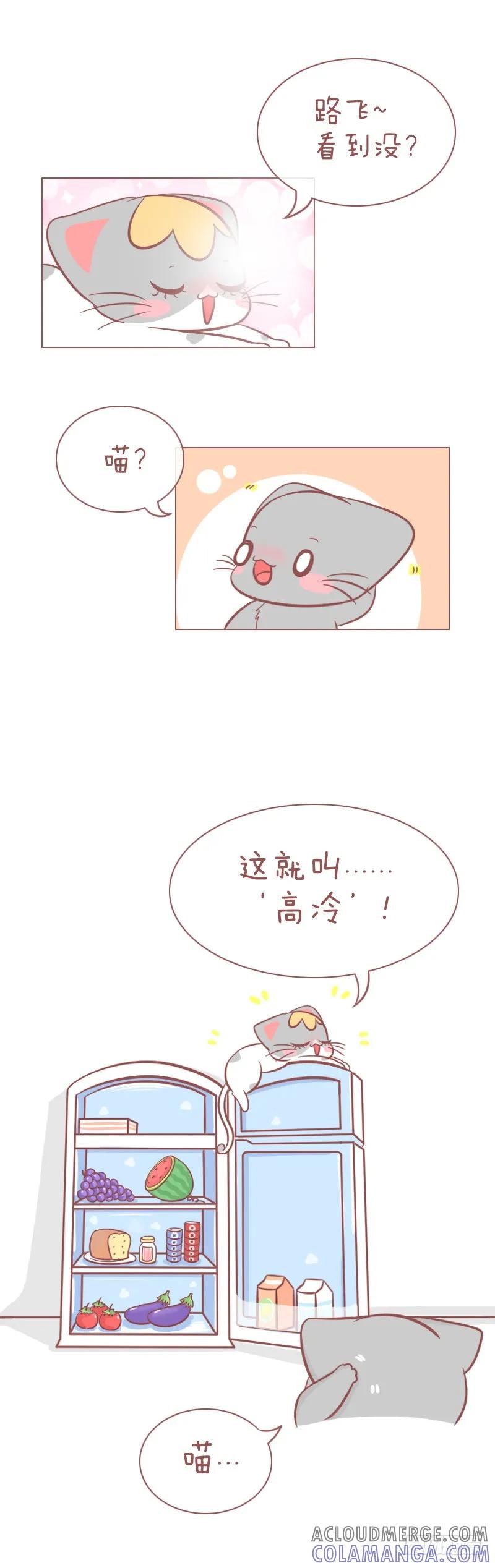 木木子漫画 做猫，就要有做猫的样子！续 第2页