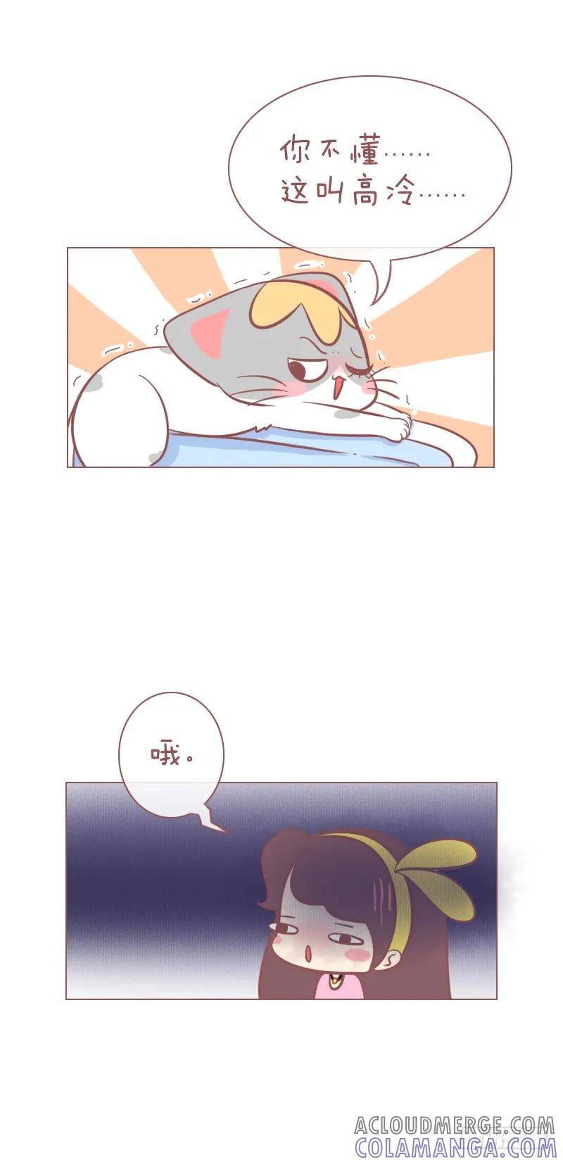 木木子漫画 做猫，就要有做猫的样子！续 第4页