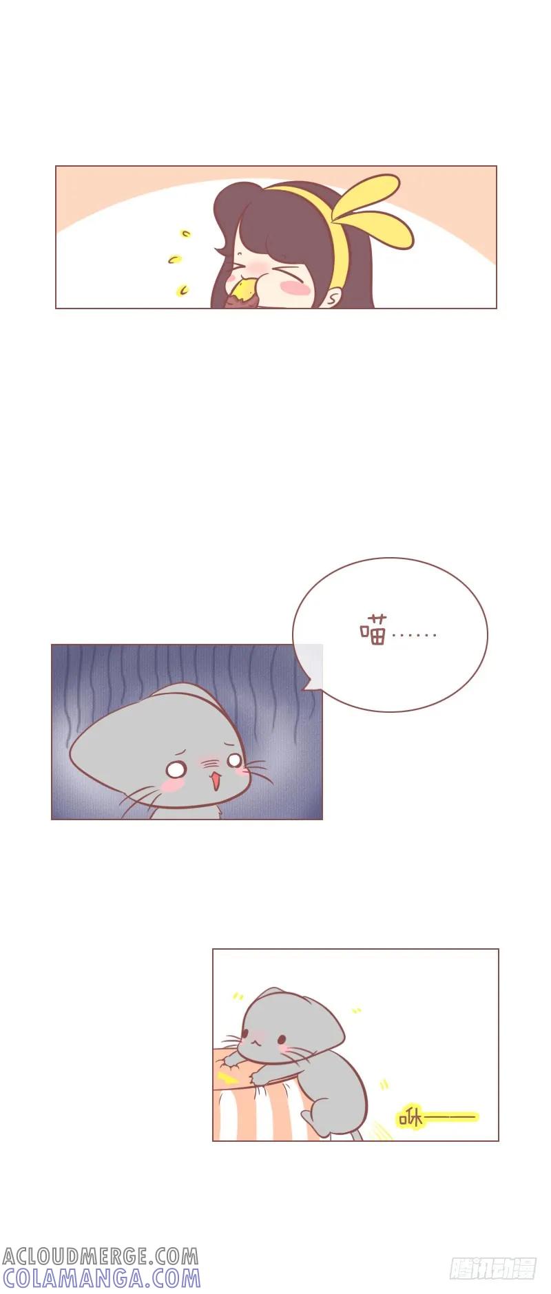 木木子漫画 好奇各种食物的喵 第4页