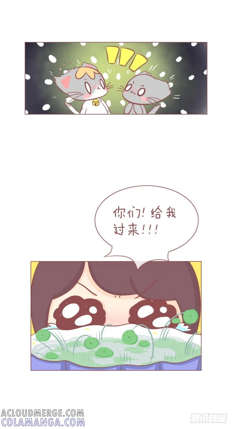 木木子漫画 败家喵 第5页