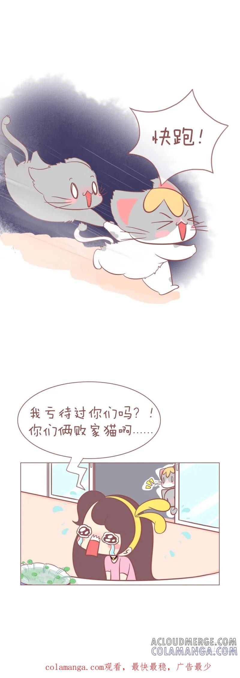 木木子漫画 败家喵 第6页