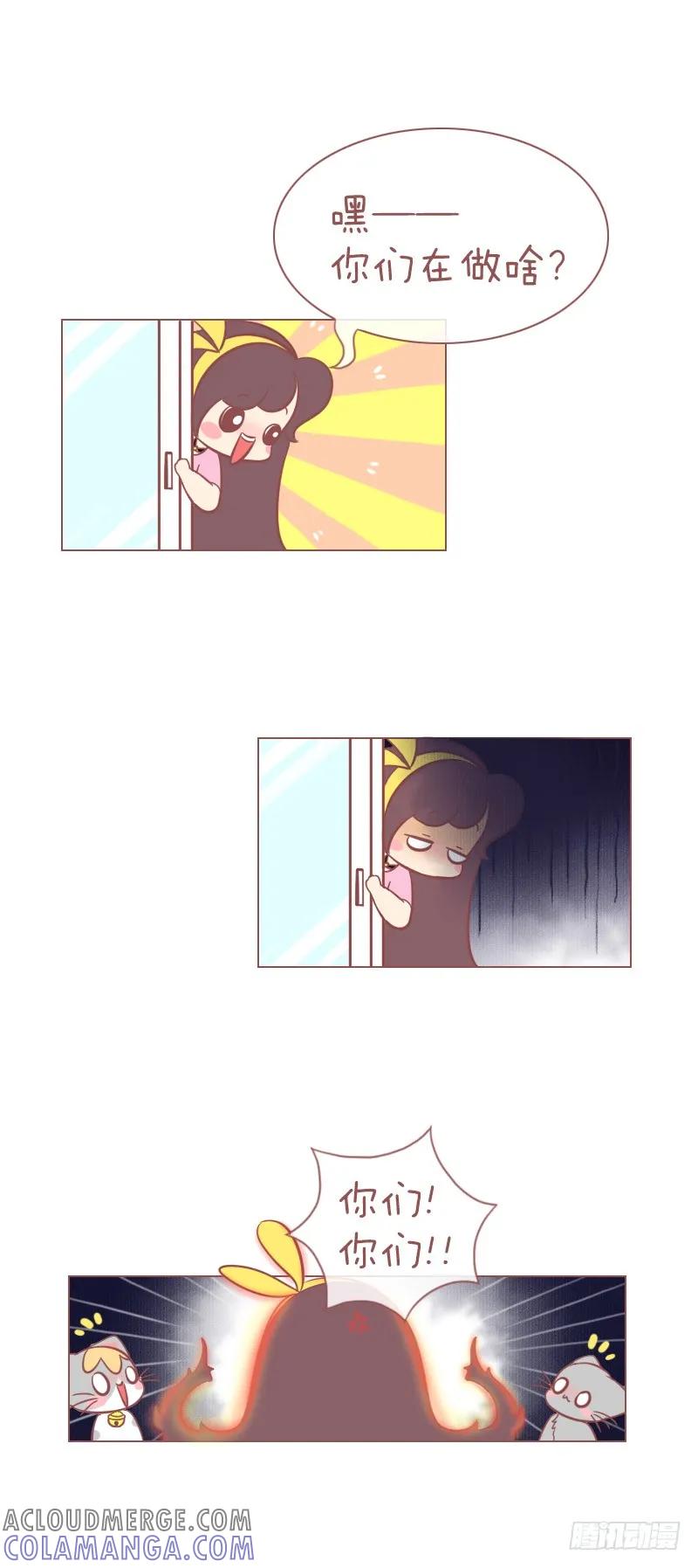 木木子漫画 败家喵 第2页