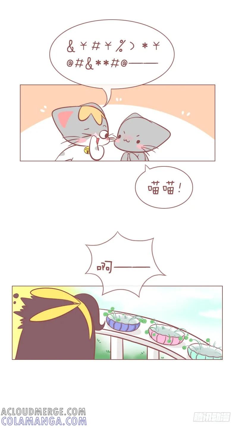 木木子漫画 败家喵 第4页