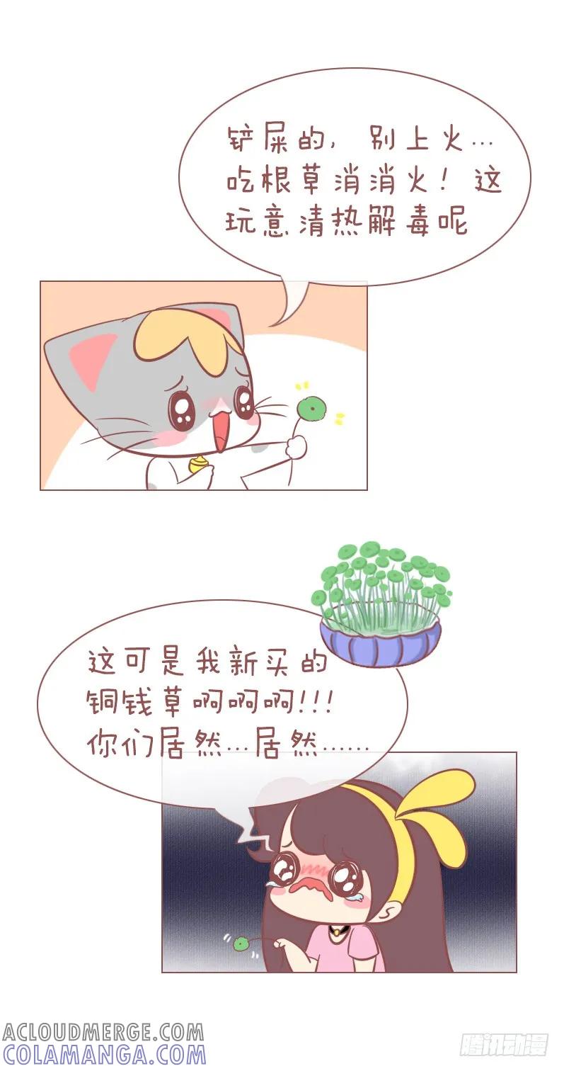 木木子漫画 败家喵 第3页
