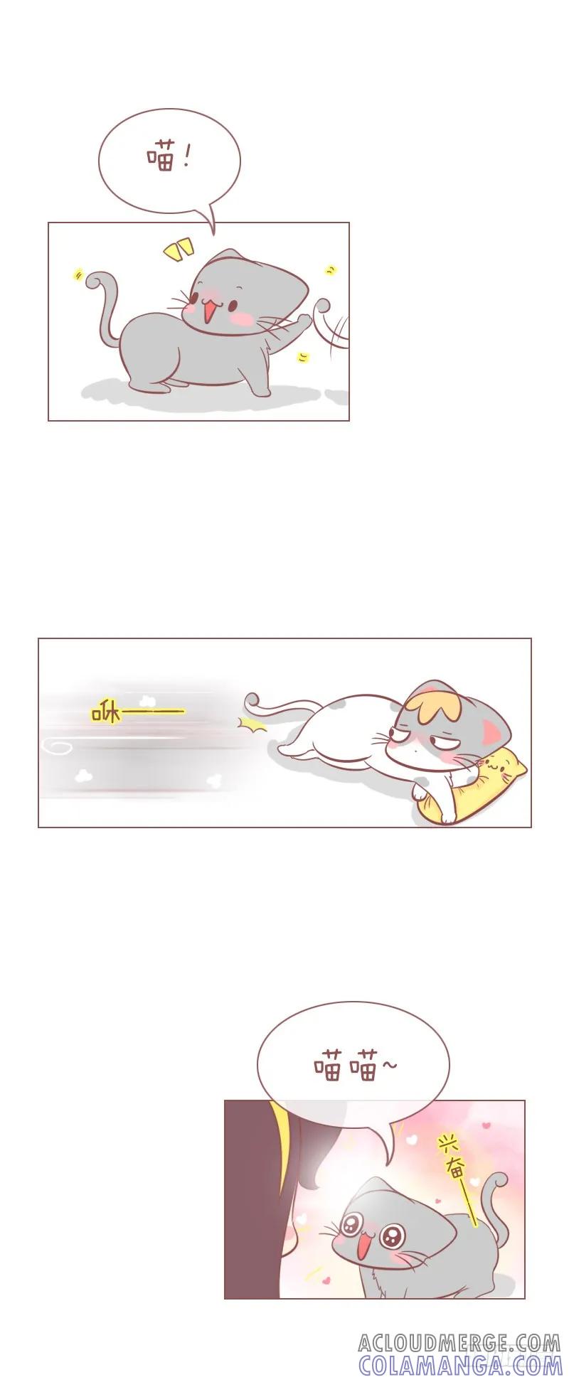 木木子漫画 本喵发誓你将永远失去你的肉球！ 第2页