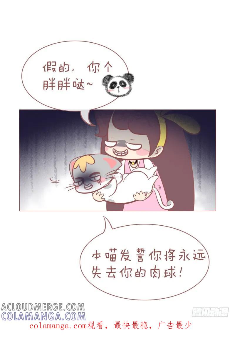 木木子漫画 本喵发誓你将永远失去你的肉球！ 第6页