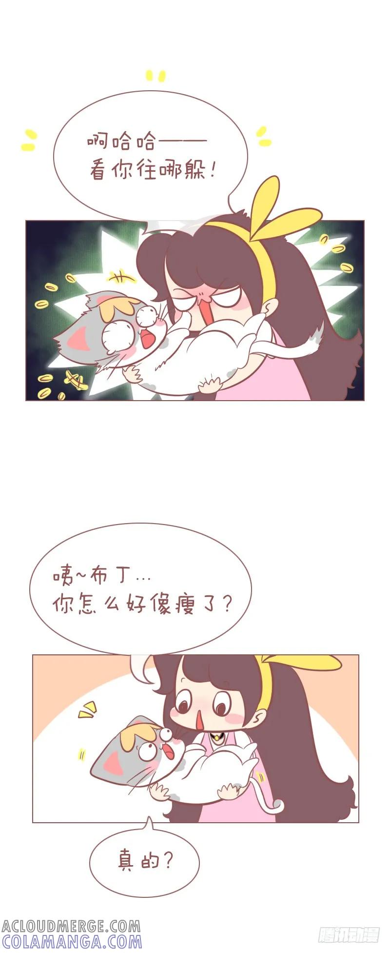 木木子漫画 本喵发誓你将永远失去你的肉球！ 第5页
