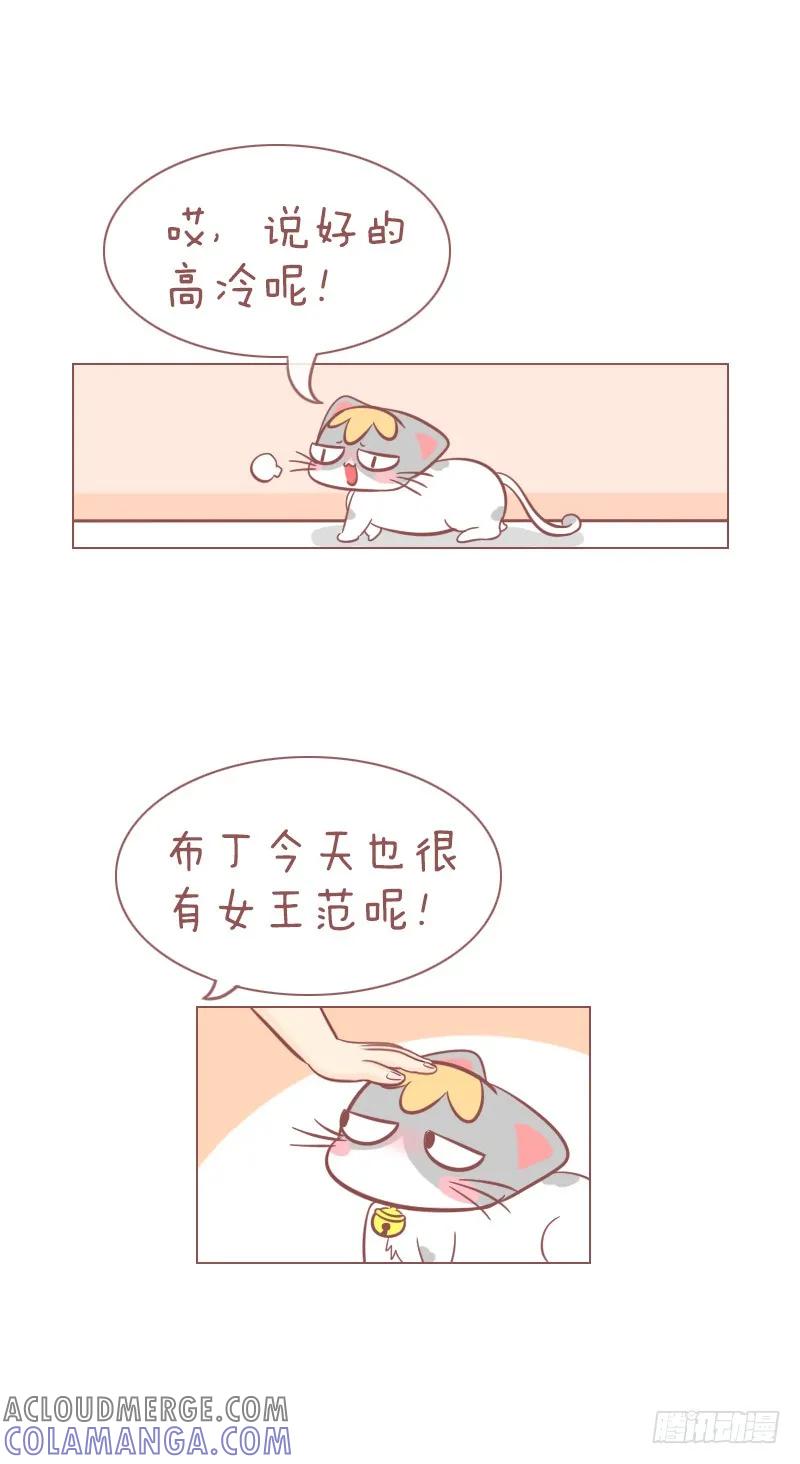 木木子漫画 本喵发誓你将永远失去你的肉球！ 第3页