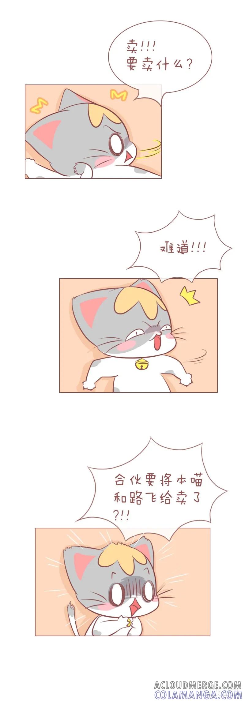 木木子漫画 人和猫之间的情报障碍 第4页