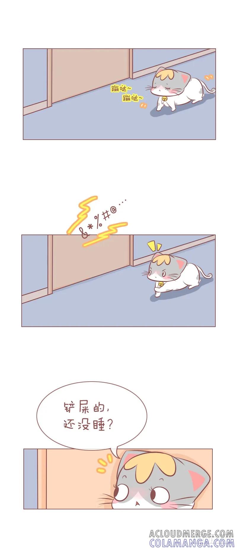 木木子漫画 人和猫之间的情报障碍 第2页