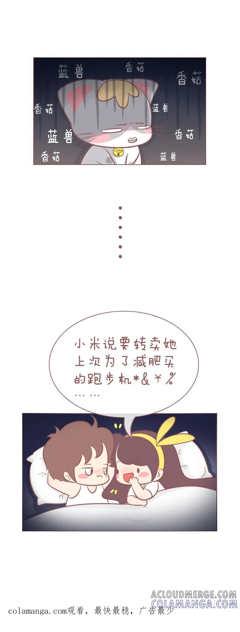 木木子漫画 人和猫之间的情报障碍 第5页