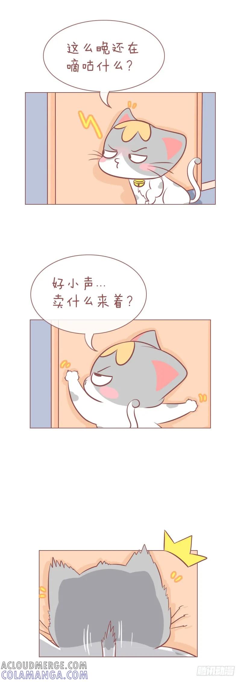木木子漫画 人和猫之间的情报障碍 第3页