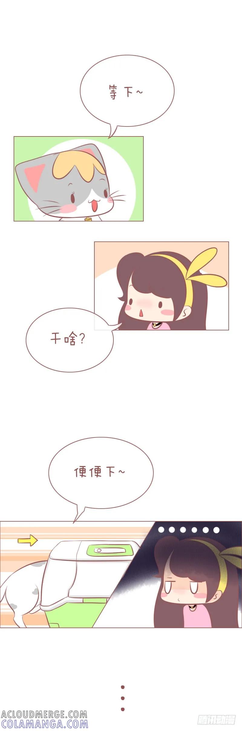 木木子漫画 作为一个好奇心很强的铲屎官？ 第2页