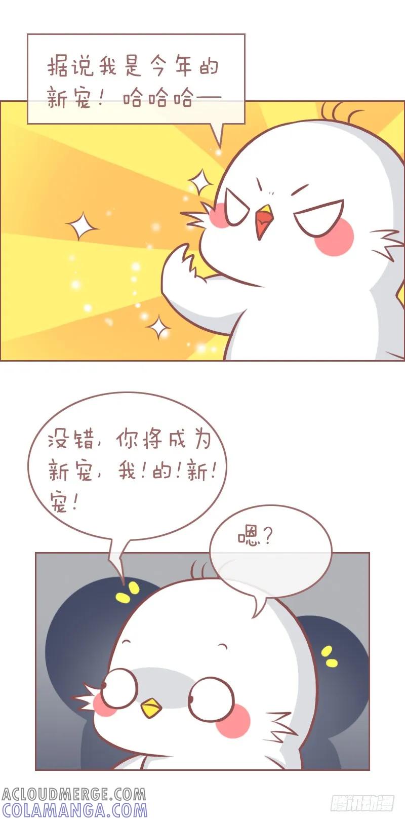 木木子漫画 叽叽叽叽叽叽鸡 第2页