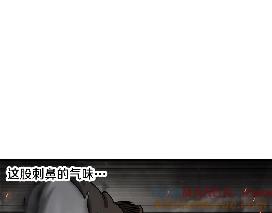 221.jpg