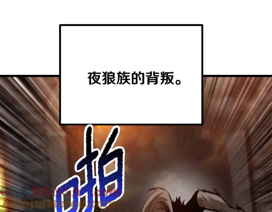 217.jpg