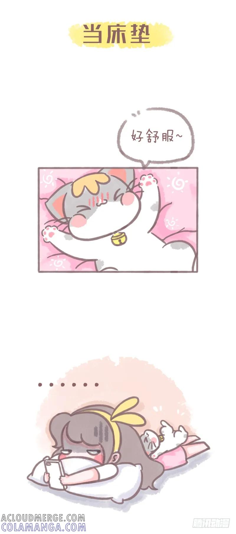 木木子漫画 养猫千日，用在一时1 第5页
