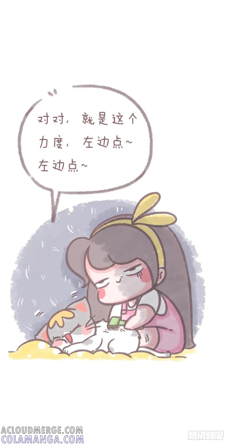 木木子漫画 养猫千日，用在一时1 第4页