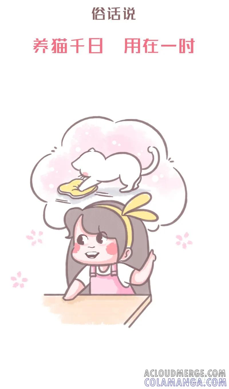 木木子漫画 养猫千日，用在一时1 第2页
