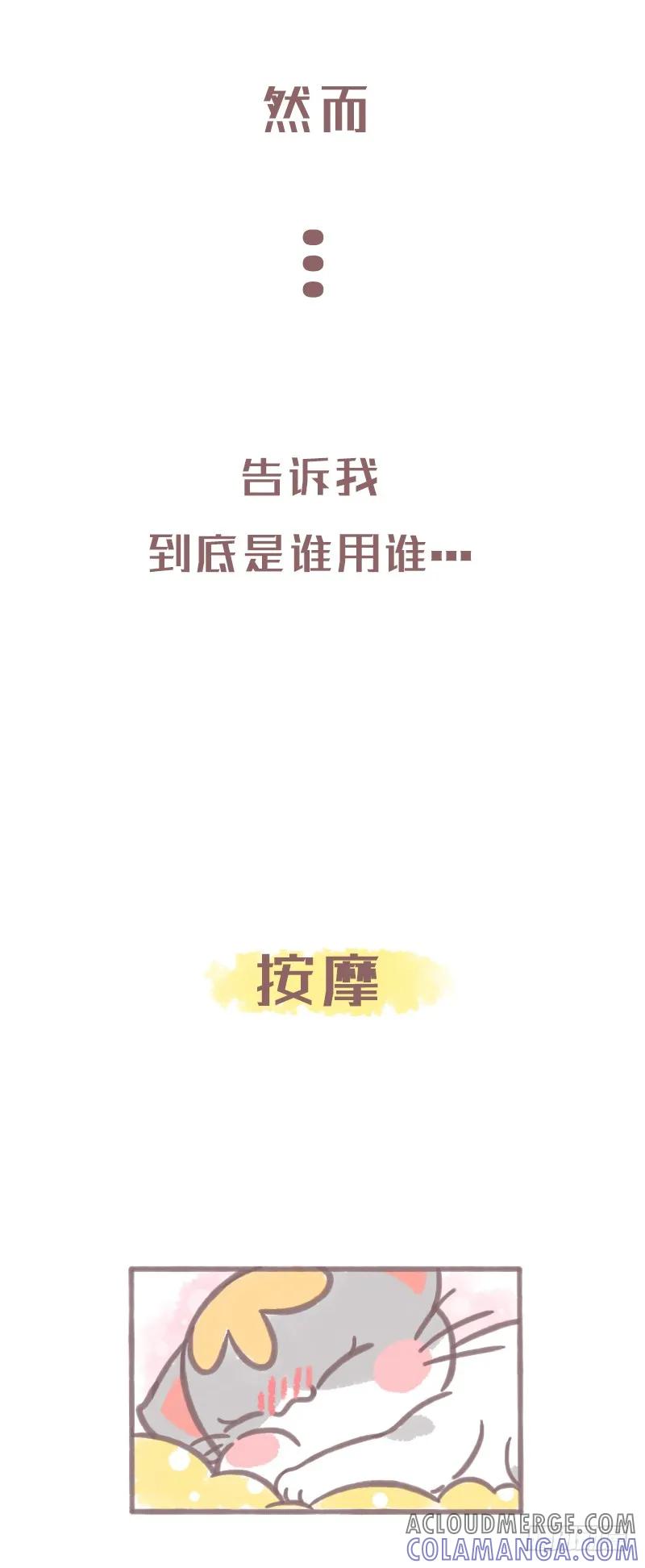 木木子漫画 养猫千日，用在一时1 第3页