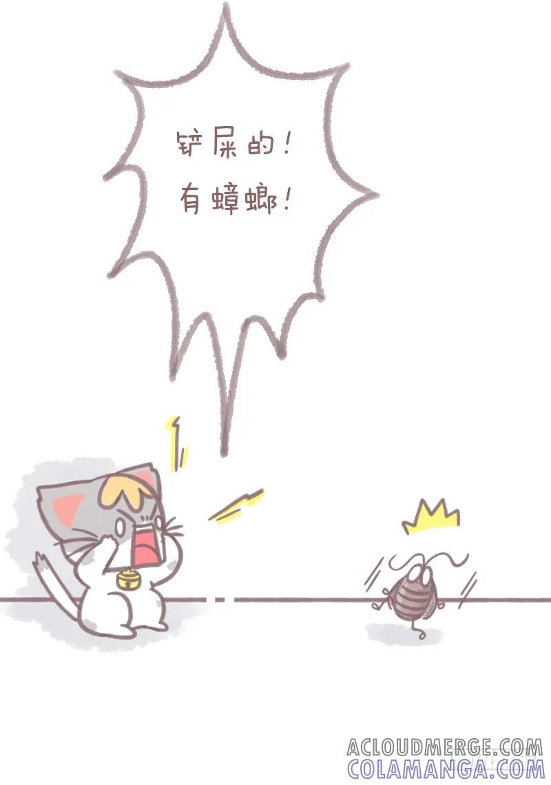 木木子漫画 养猫千日，用在一时2 第2页