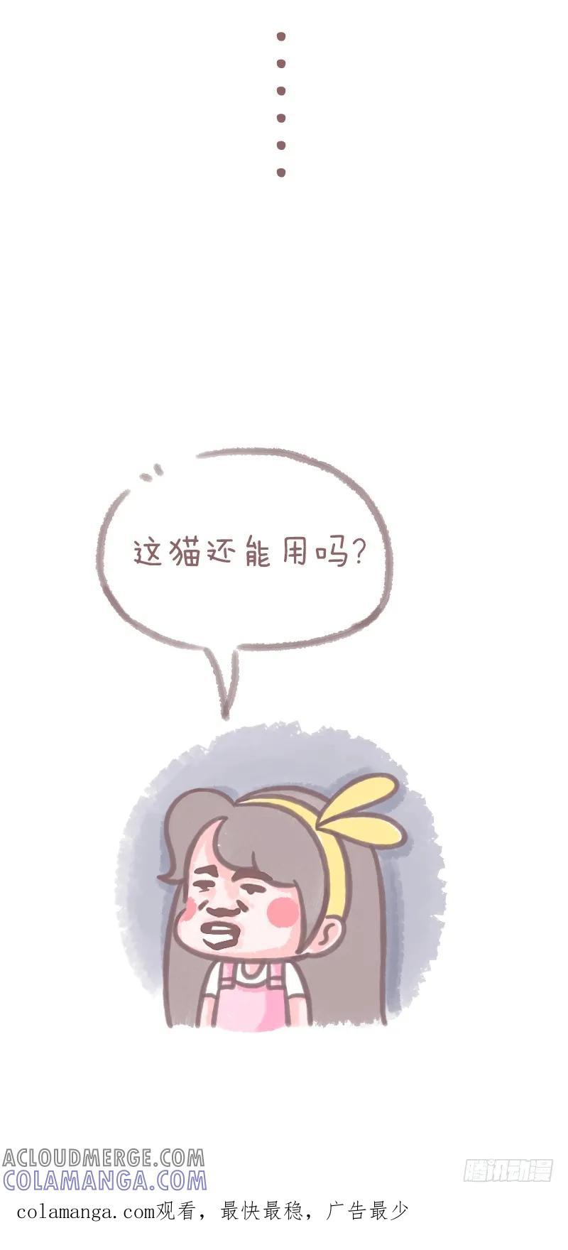 木木子漫画 养猫千日，用在一时3 第3页
