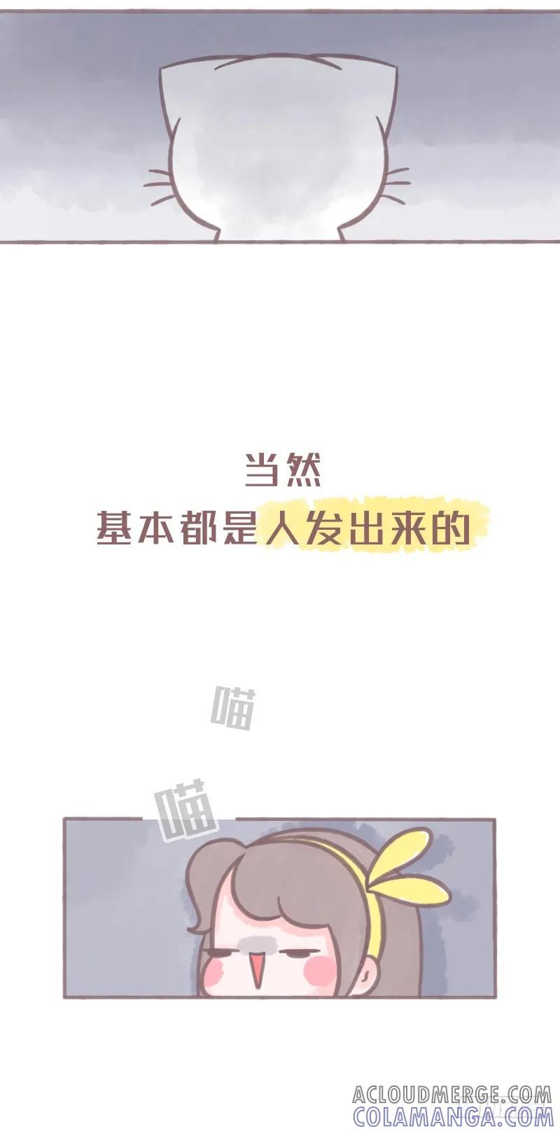 木木子漫画 养了猫之后 第5页