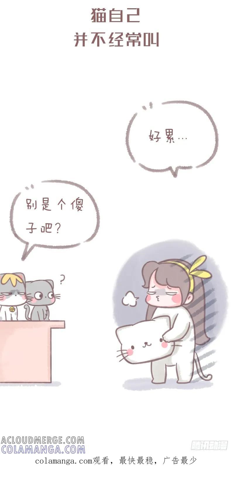 木木子漫画 养了猫之后 第6页
