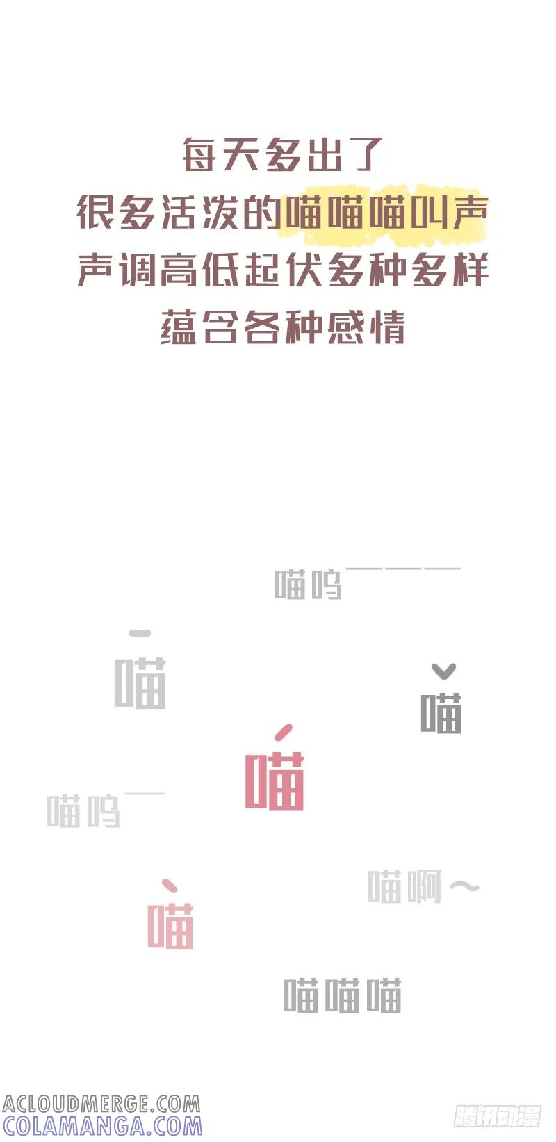 木木子漫画 养了猫之后 第4页