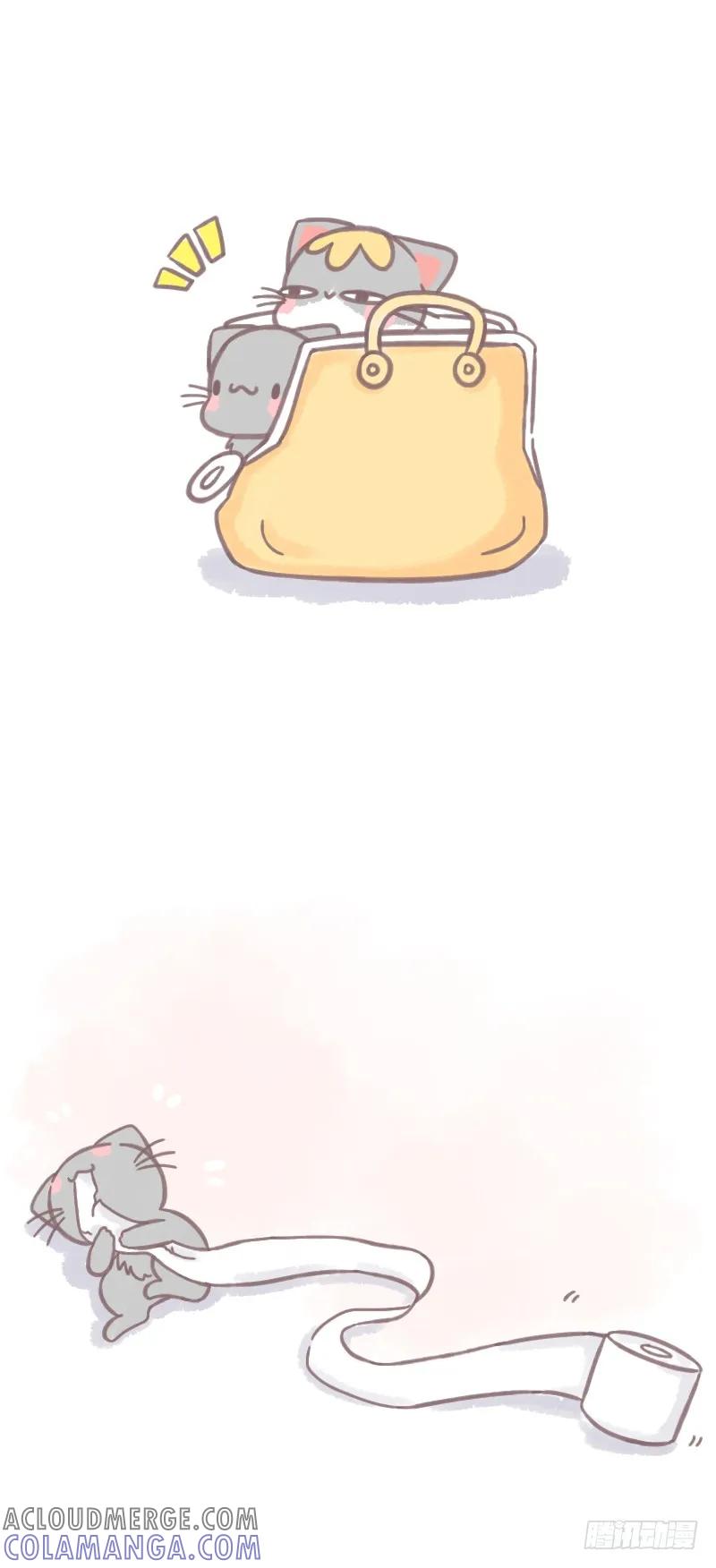 木木子漫画 养了猫之后 第3页