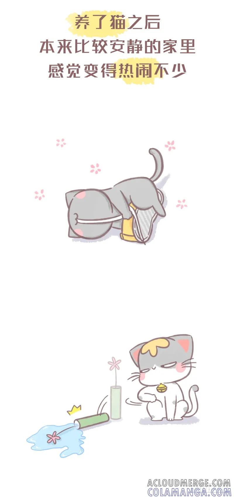 木木子漫画 养了猫之后 第2页