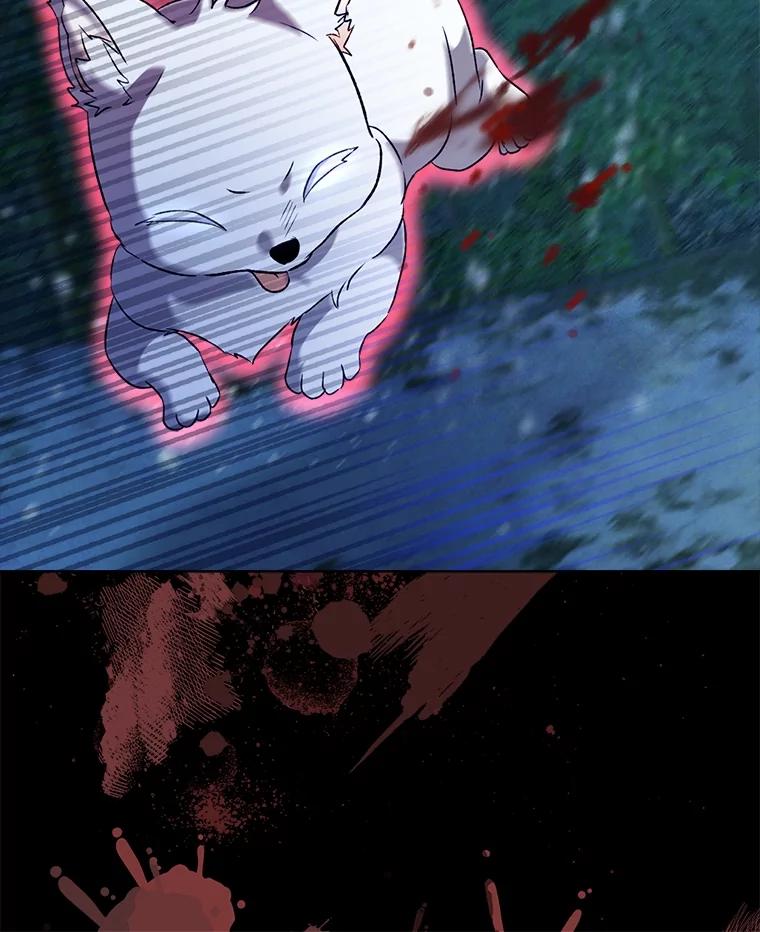 重生为神兽宝宝 - 51.抓银狐 - 第111张图