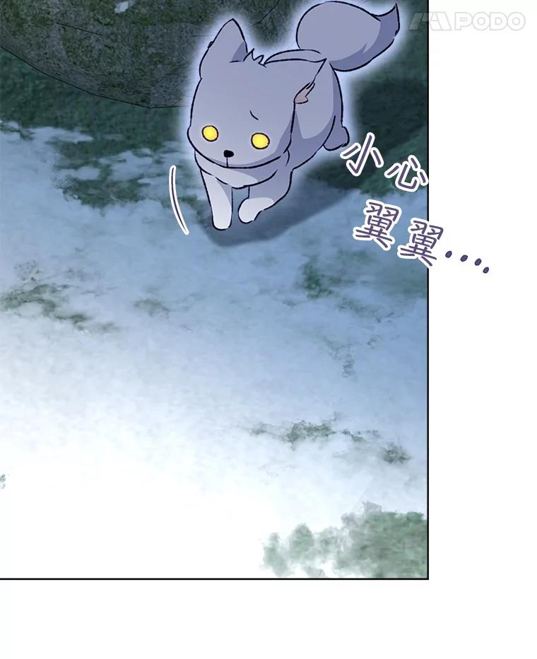 重生为神兽宝宝 - 51.抓银狐 - 第106张图