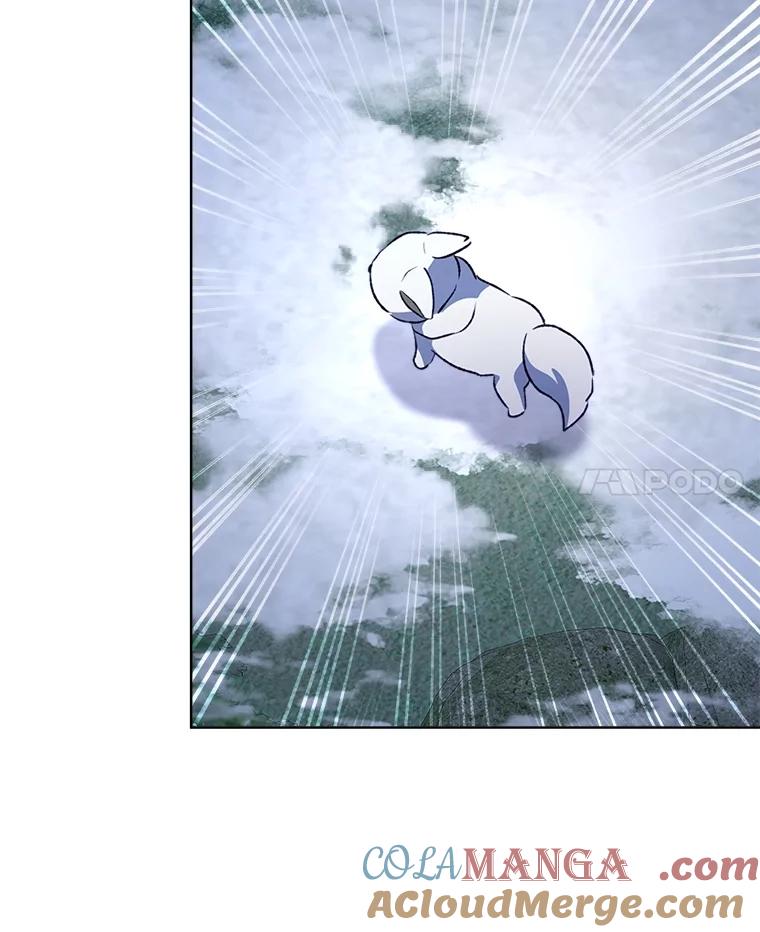 重生为神兽宝宝 - 51.抓银狐 - 第109张图