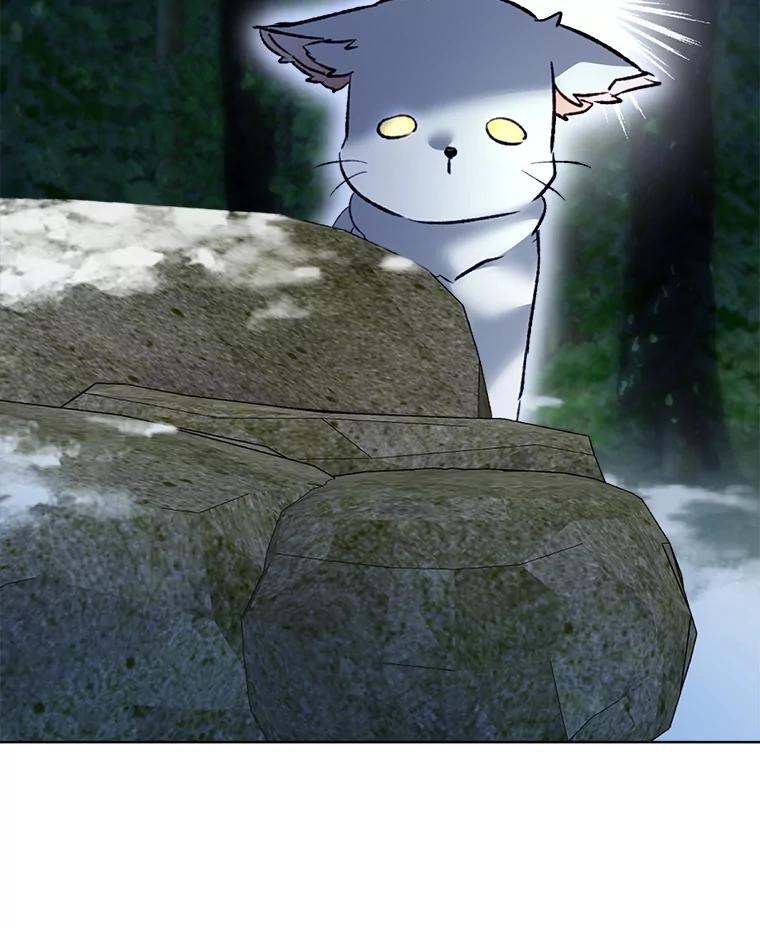 重生为神兽宝宝 - 51.抓银狐 - 第103张图