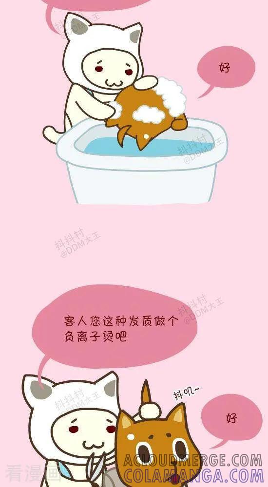 《抖抖村》四十八话 呆毛-3 第2页