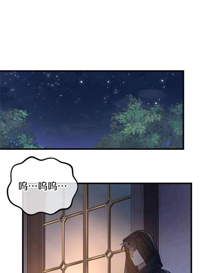 《小圣女想要毁灭世界》13.姐姐 第59页